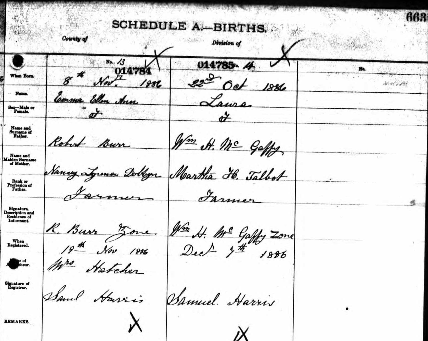 Birth registration for Laura McGaffey