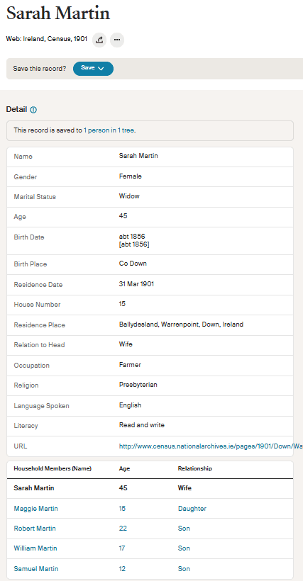 1901 Irish census entry for the Martin family